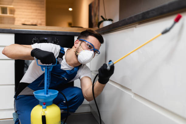Professional Pest Control in Springfield, FL