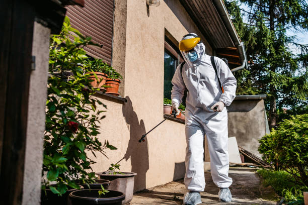 Best Rat Extermination Near Me  in Springfield, FL