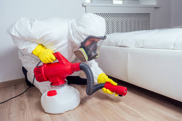 Best Pest Control Near Me  in Springfield, FL