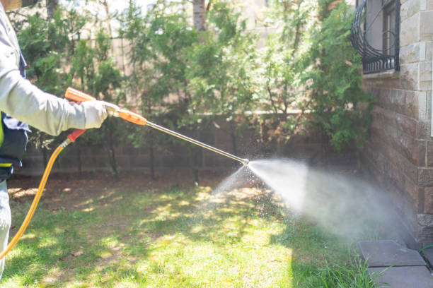 Best Pest Prevention Services  in Springfield, FL