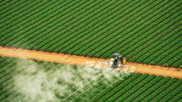 Best Affordable Exterminators  in Springfield, FL